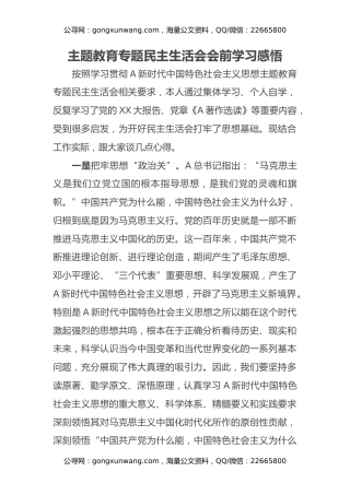 主题教育专题民主生活会会前学习感悟