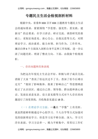 主题教育专题民主生活会六个方面检视剖析材料