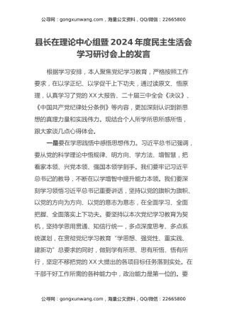 县长在理论中心组暨2024年度民主生活会学习研讨会上的发言