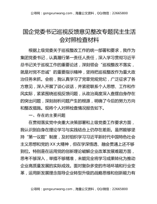 国企党委书记巡视反馈意见整改专题民主生活会对照检查材料