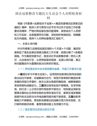 国企巡察整改专题民主生活会个人对照检查材料