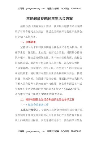 主题教育专题民主生活会方案