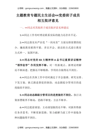 主题教育专题民主生活会某党委班子成员相互批评意见