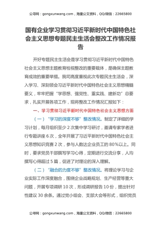 国有企业学习贯彻习近平新时代中国特色社会主义思想专题民主生活会整改工作情况报告