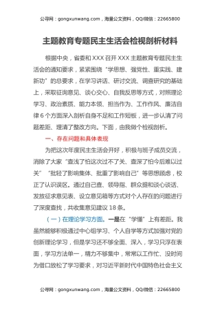 主题教育专题民主生活会检视剖析材料（六个方面）