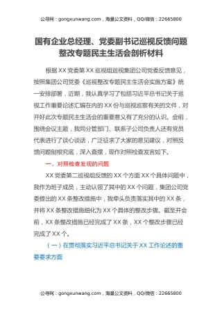 国有企业总经理、党委副书记巡视反馈问题整改专题民主生活会剖析材料