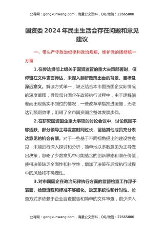 国资委2024年民主生活会存在问题和意见建议