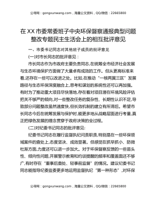 在XX市委常委班子中央环保督察通报典型问题整改专题民主生活会上的相互批评意见