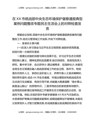 在XX市统战部中央生态环境保护督察通报典型案例问题整改专题民主生活会上的对照检查发言