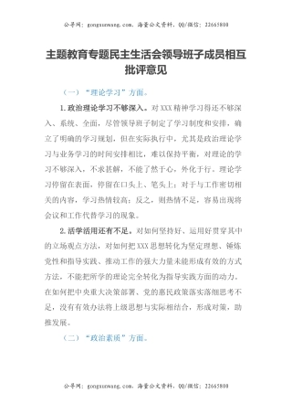 主题教育专题民主生活会领导班子成员相互批评意见（2）