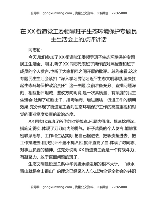 在XX街道党工委领导班子生态环境保护专题民主生活会上的点评讲话