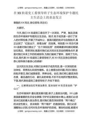 在XX街道党工委领导班子生态环境保护专题民主生活会上的表态发言