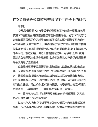 在XX镇党委巡察整改专题民主生活会上的讲话