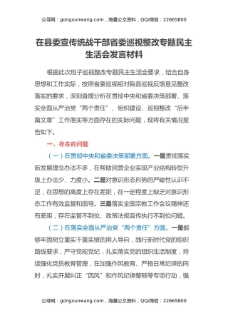 在县委宣传统战干部省委巡视整改专题民主生活会发言材料