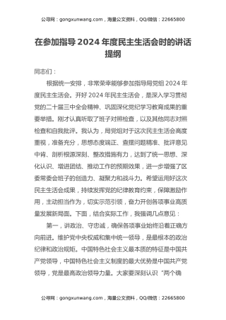 在参加指导2024年度民主生活会时的讲话提纲