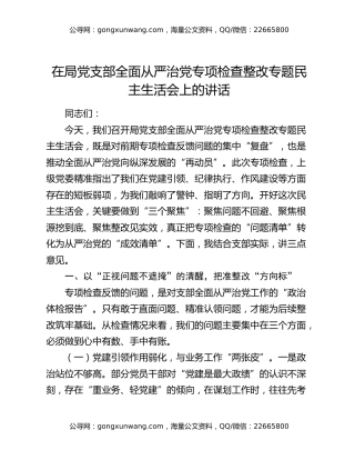 在局党支部全面从严治党专项检查整改专题民主生活会上的讲话