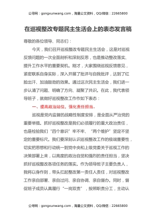 在巡视整改专题民主生活会上的表态发言稿