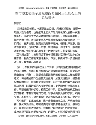 在市委常委班子巡视整改专题民主生活会上的总结讲话