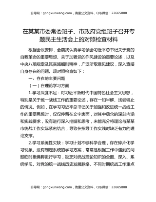 在某某市委常委班子、市政府党组班子召开专题民主生活会上的对照检查材料