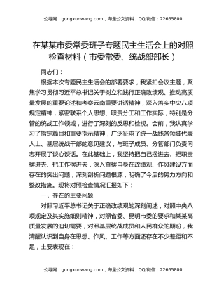 在某某市委常委班子专题民主生活会上的对照检查材料 （市委常委、统战部部长）