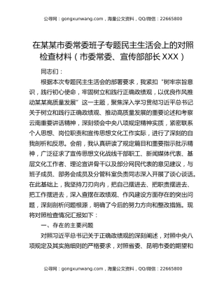 在某某市委常委班子专题民主生活会上的对照检查材料（市委常委、宣传部部长XXX）