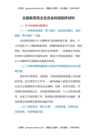 主题教育民主生活会检视剖析材料