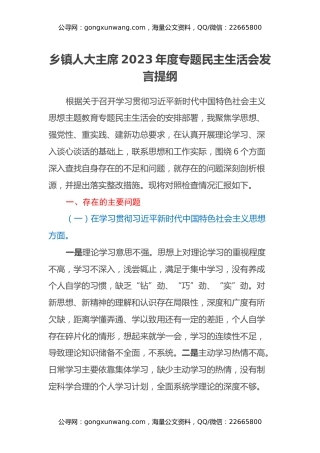 乡镇人大主席2023年度专题民主生活会发言提纲（九个方面+典型案例剖析+政绩观+新形象工程）