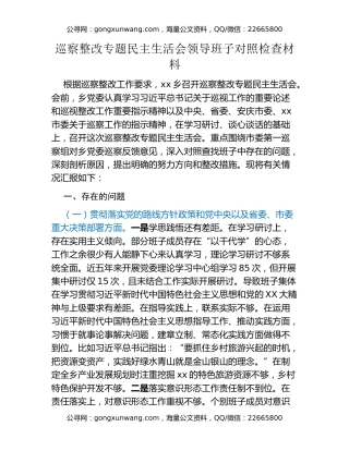 巡察整改专题民主生活会领导班子对照检查材料