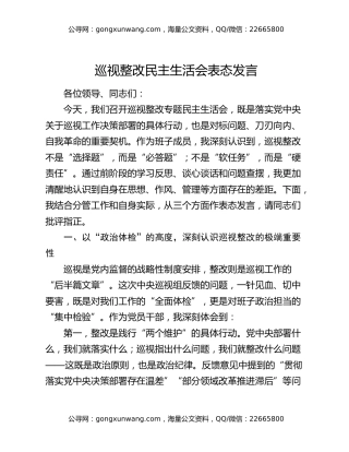 巡视整改民主生活会表态发言