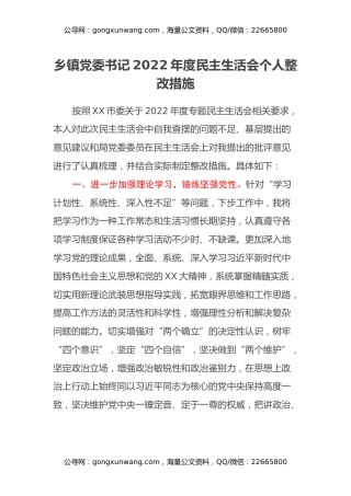 乡镇党委书记2022年度民主生活会个人整改措施
