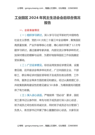 工业园区2024年民主生活会会后综合情况报告