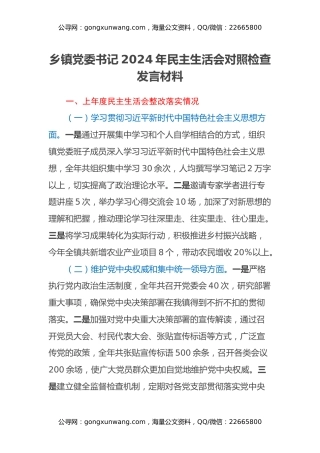 乡镇党委书记2024年民主生活会对照检查发言材料