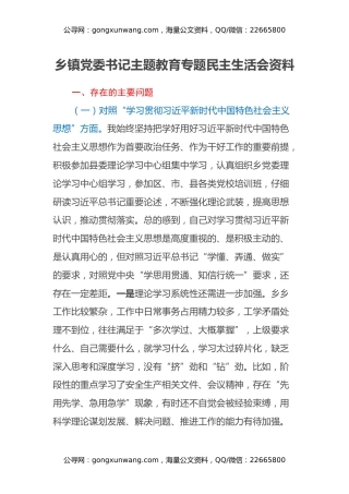 乡镇党委书记主题教育专题民主生活会资料（七个方面、政绩观、反面典型案例剖析）