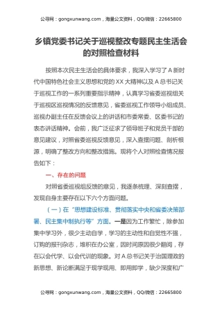 乡镇党委书记关于巡视整改专题民主生活会的对照检查材料