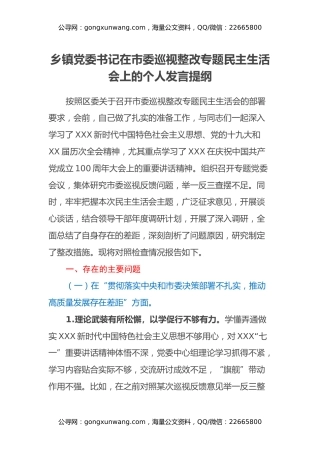 乡镇党委书记在市委巡视整改专题民主生活会上的个人发言提纲