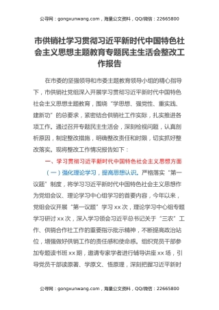 市供销社学习贯彻习近平新时代中国特色社会主义思想主题教育专题民主生活会整改工作报告