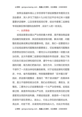 乡镇党委领导班子巡察整改专题民主生活会学习研讨发言