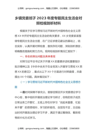 乡镇班子2023年主题教育民主生活会对照检查材料