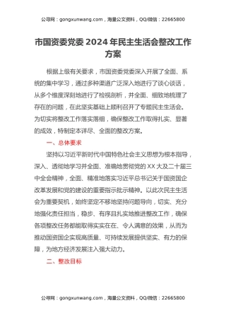 市国资委党委2024年民主生活会整改工作方案