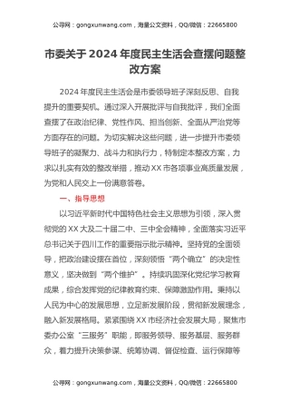 市委关于2024年度民主生活会查摆问题整改方案
