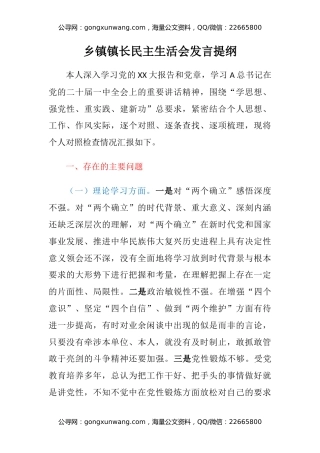 乡镇镇长民主生活会发言提纲