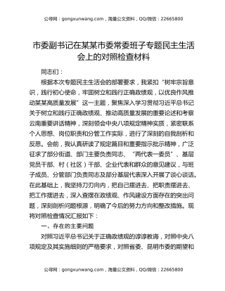 市委副书记在某某市委常委班子专题民主生活会上的对照检查材料