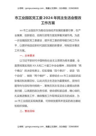 市工业园区党工委2024年民主生活会整改工作方案