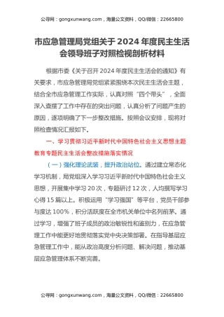 市应急管理局党组关于2024年度民主生活会领导班子对照检视剖析材料
