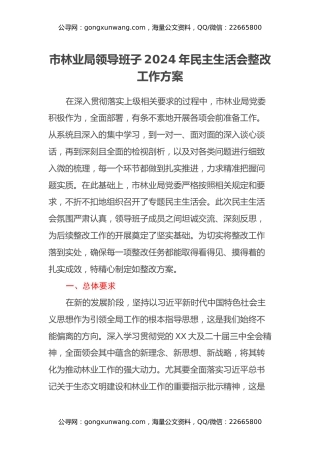 市林业局领导班子2024年民主生活会整改工作方案