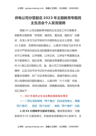 供电公司分管副总2023年主题教育专题民主生活会个人发言提纲（（上年度整改措施落实情况、新六个方面、典型案例剖析））