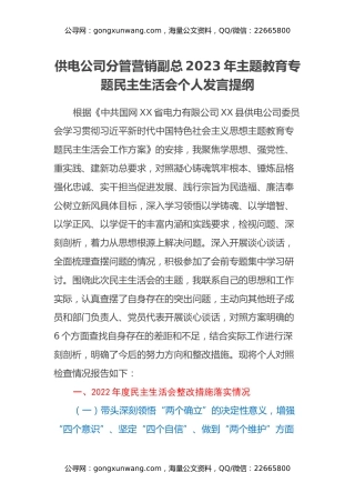 供电公司分管营销副总2023年主题教育专题民主生活会个人发言提纲（上年度整改措施落实情况、典型案例剖析）