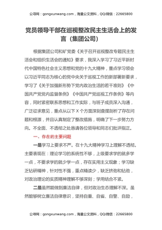 党员领导干部在巡视整改民主生活会上的发言（集团公司）