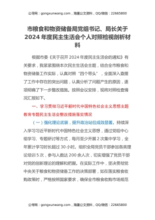 市粮食和物资储备局党组书记、局长关于2024年度民主生活会个人对照检视剖析材料
