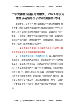 市粮食和物资储备局党组关于2024年度民主生活会领导班子对照检视剖析材料